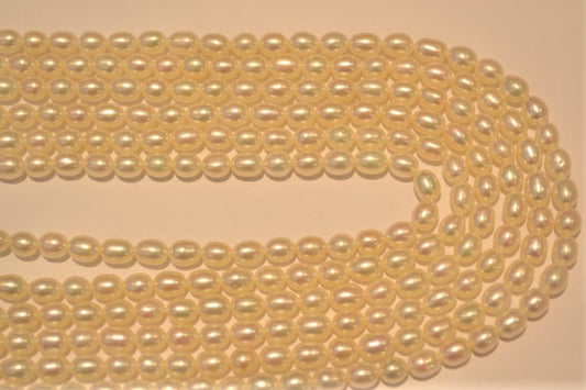 Oval white freshwater pearl strands 6x4.5mm