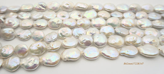 Freshwater pearl strands: Coin pearl Silver grey 17x22mm lustrous long oval