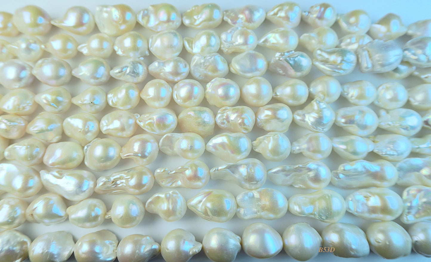 Freshwater pearl strands: Baroque white lustrous large 14.5×11.5mm-25x15mm high grade
