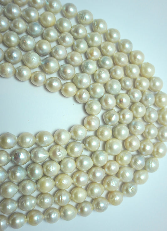 Freshwater pearl strands: Baroque white oval 10x13-13x16mm high grade